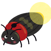 bug_hotaru